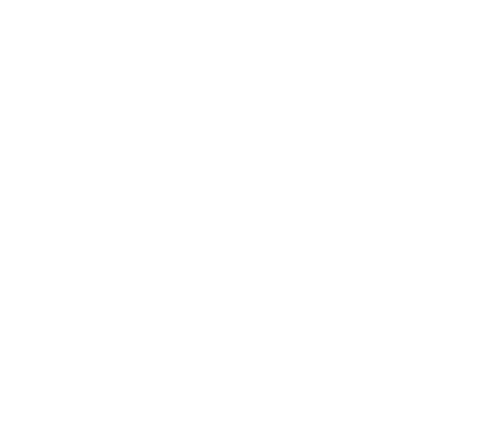 hindustanair