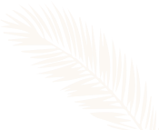 hindustanair